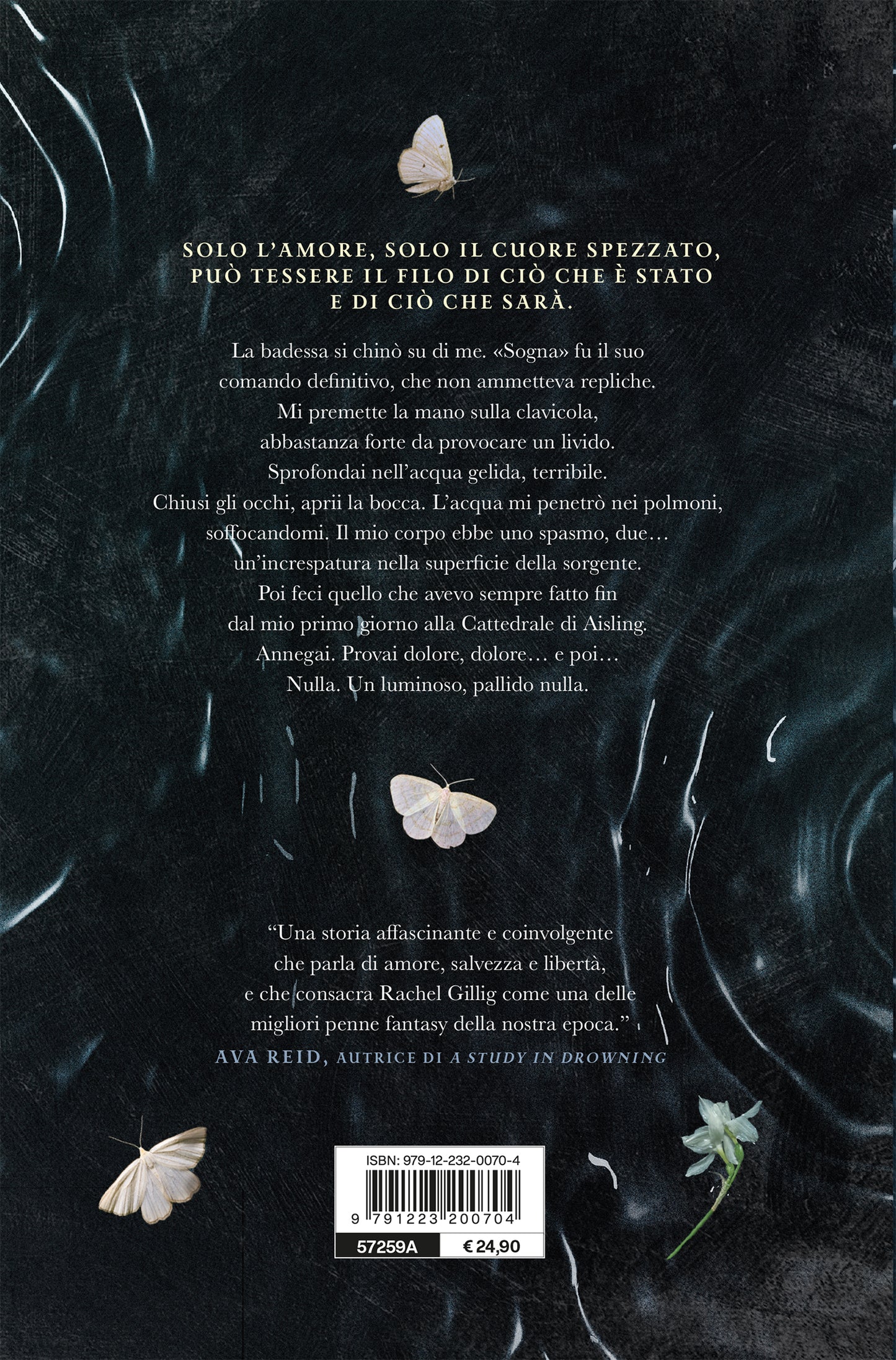 The Knight and the Moth