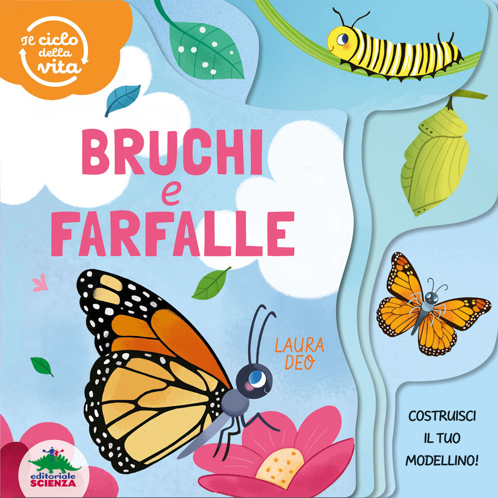Bruchi e farfalle – Il ciclo della vita