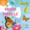 Bruchi e farfalle – Il ciclo della vita