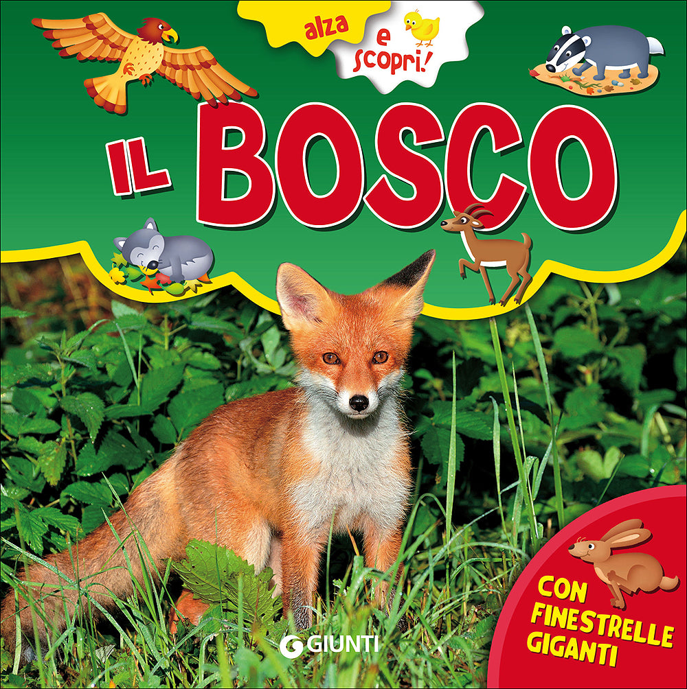 Il Bosco::Con finestrelle giganti