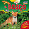 Il Bosco::Con finestrelle giganti
