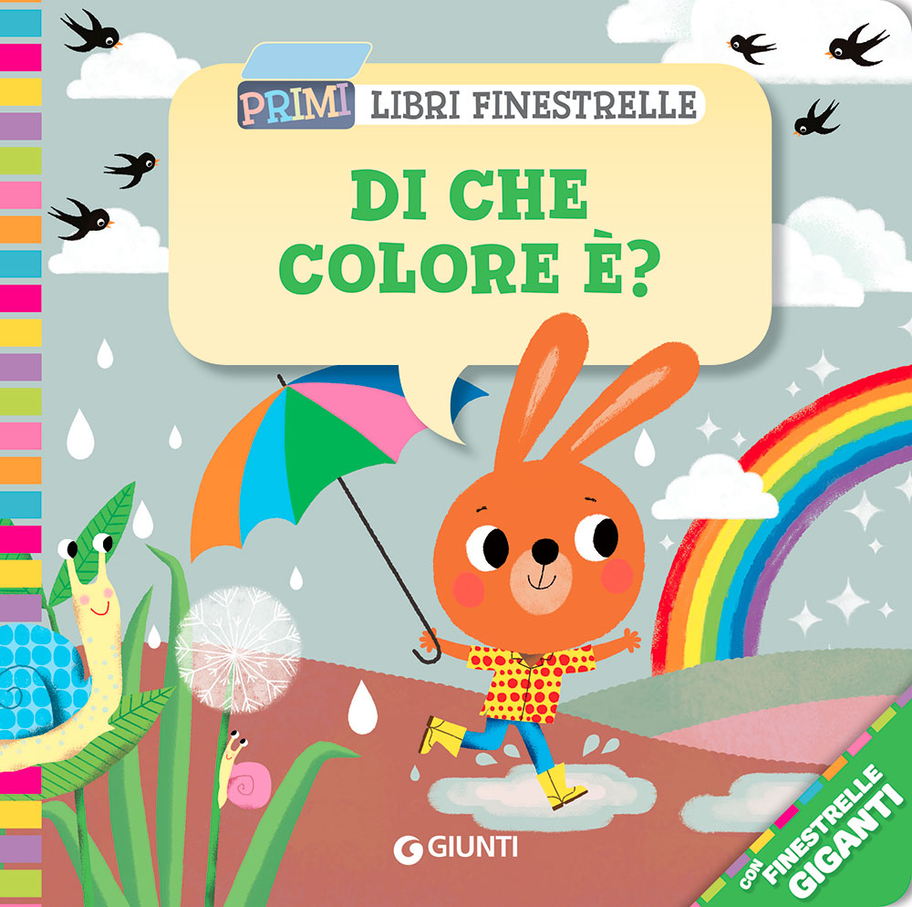 Di che colore è?