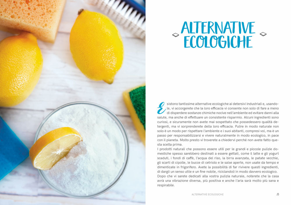 Detersivi fatti in casa::come preparare prodotti per la pulizia semplici e naturali