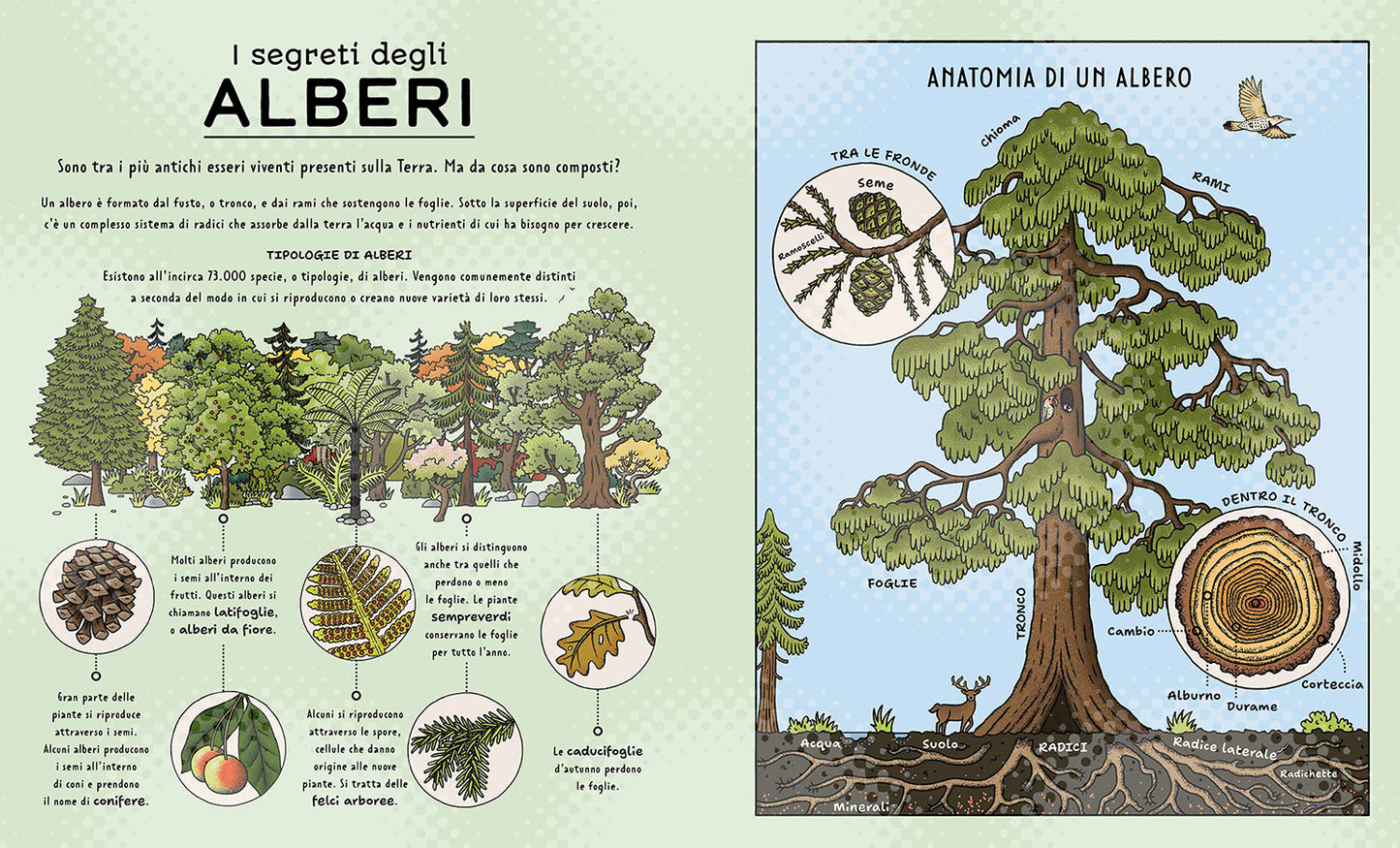I segreti della natura