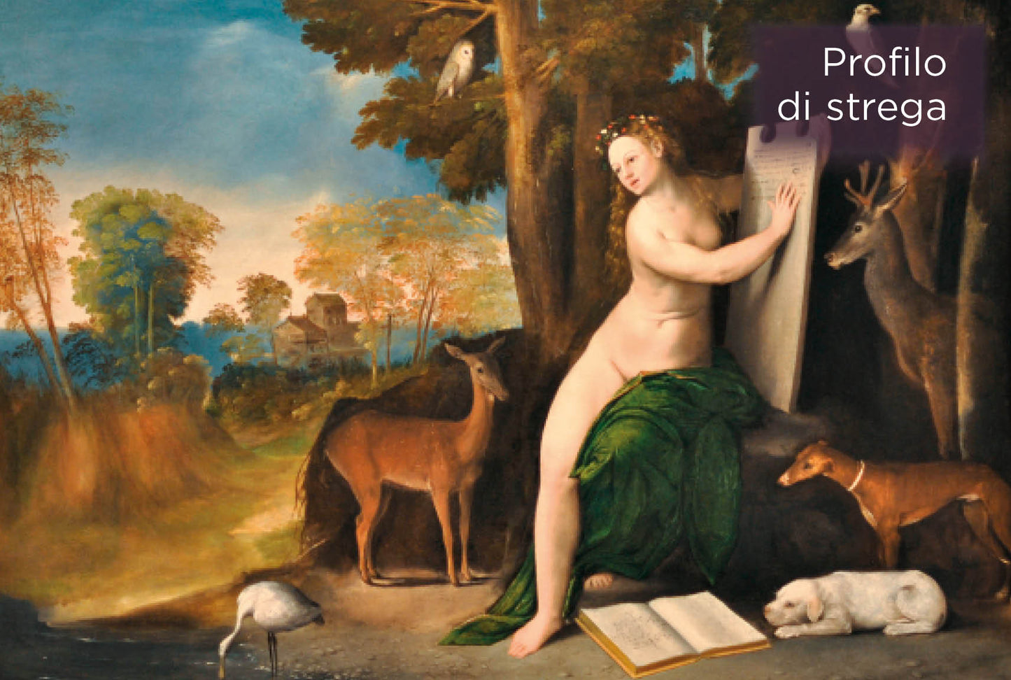 Streghe::Le origini, il mito, la storia