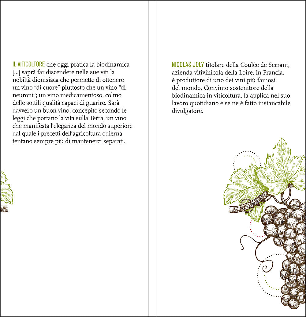 La vigna, il vino e la biodinamica