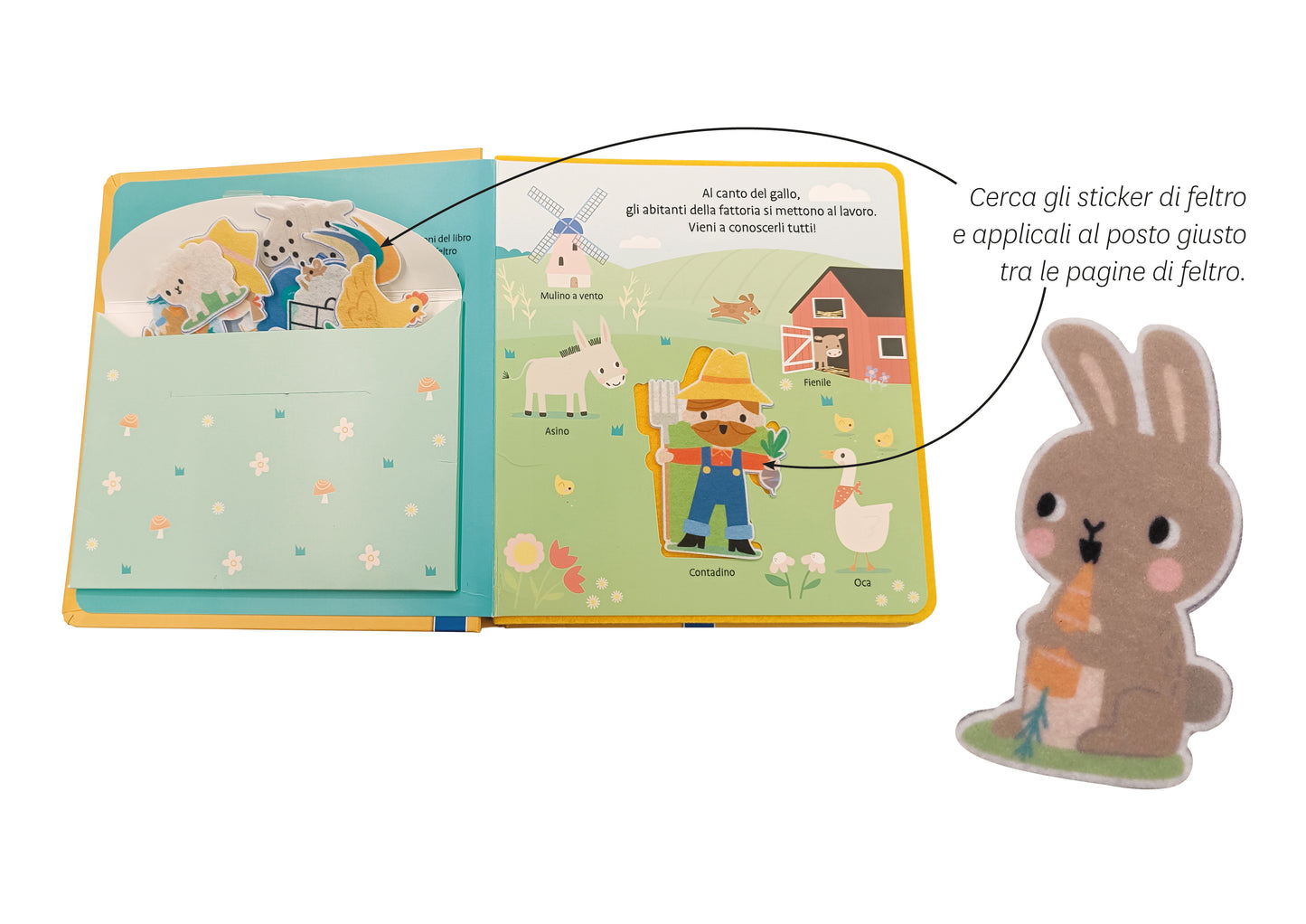 Il bosco e il giardino