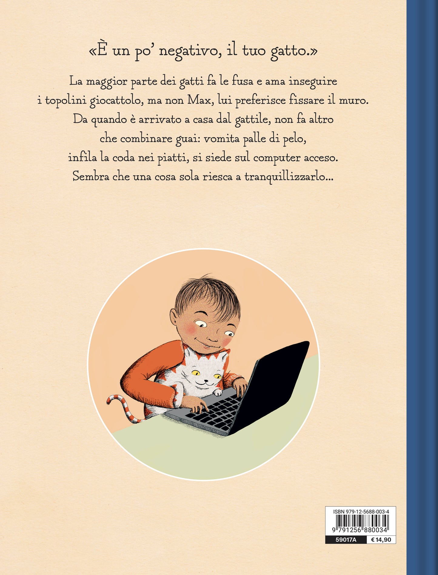 Il gatto combinaguai