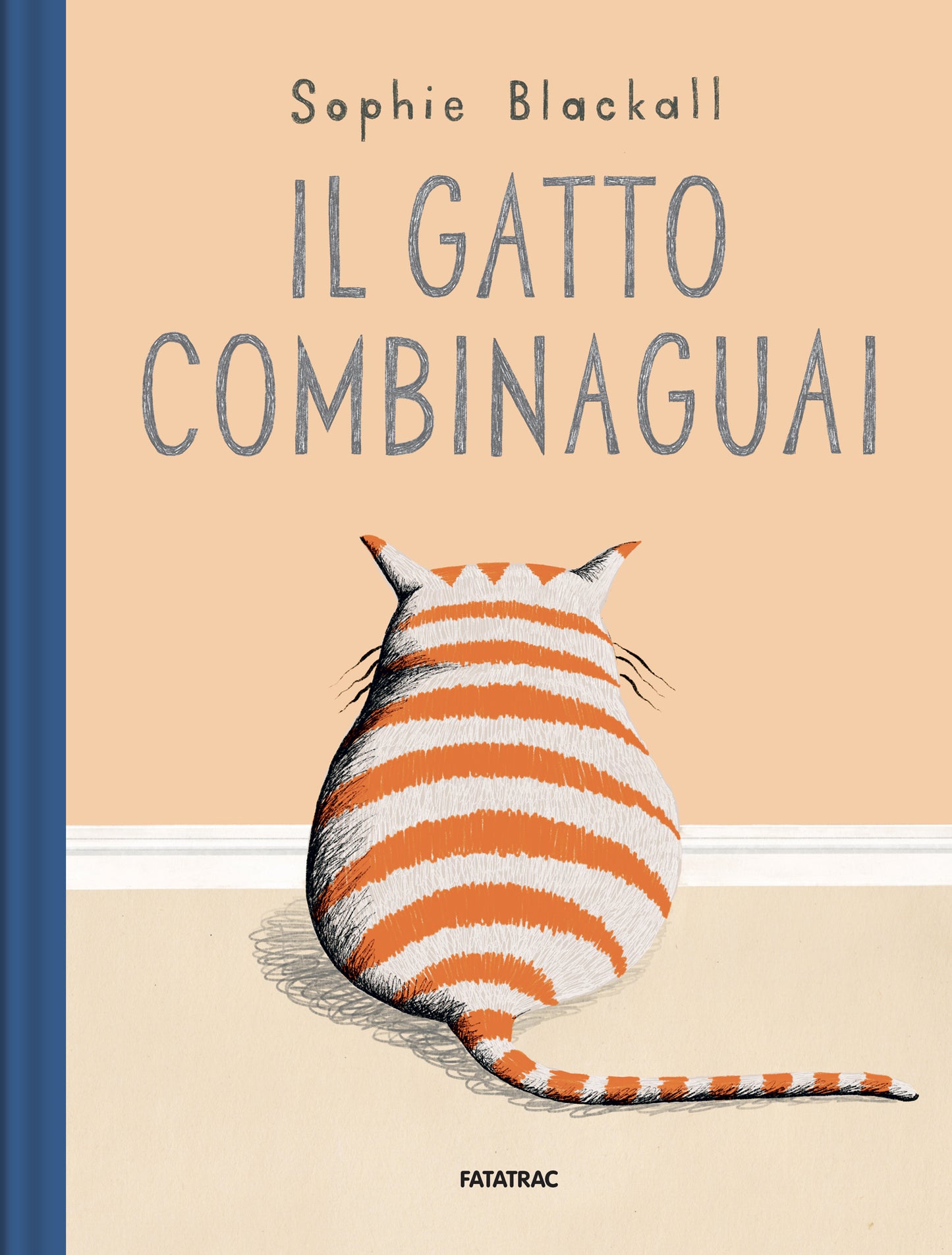 Il gatto combinaguai