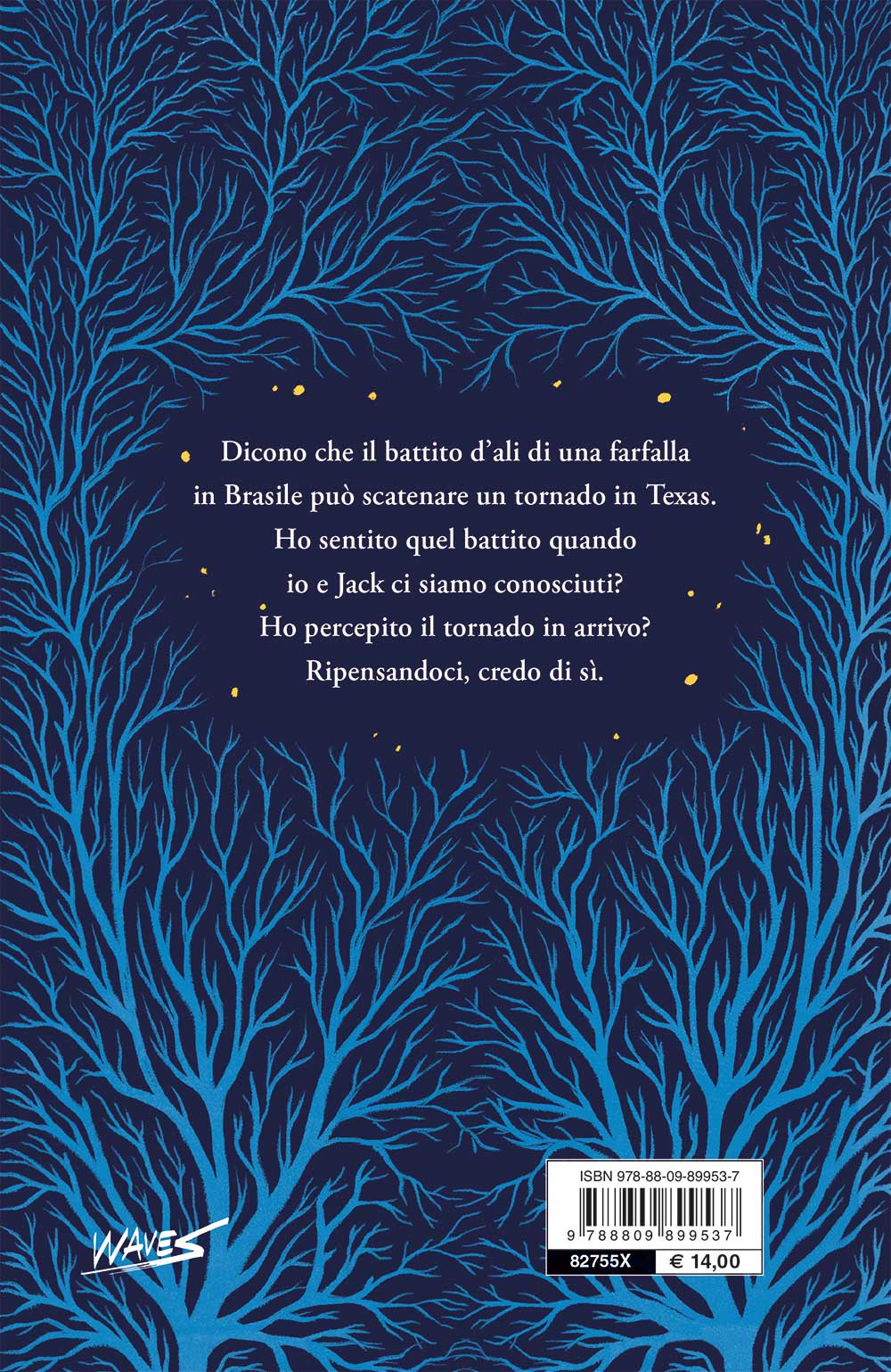 Tutta la bellezza del mondo