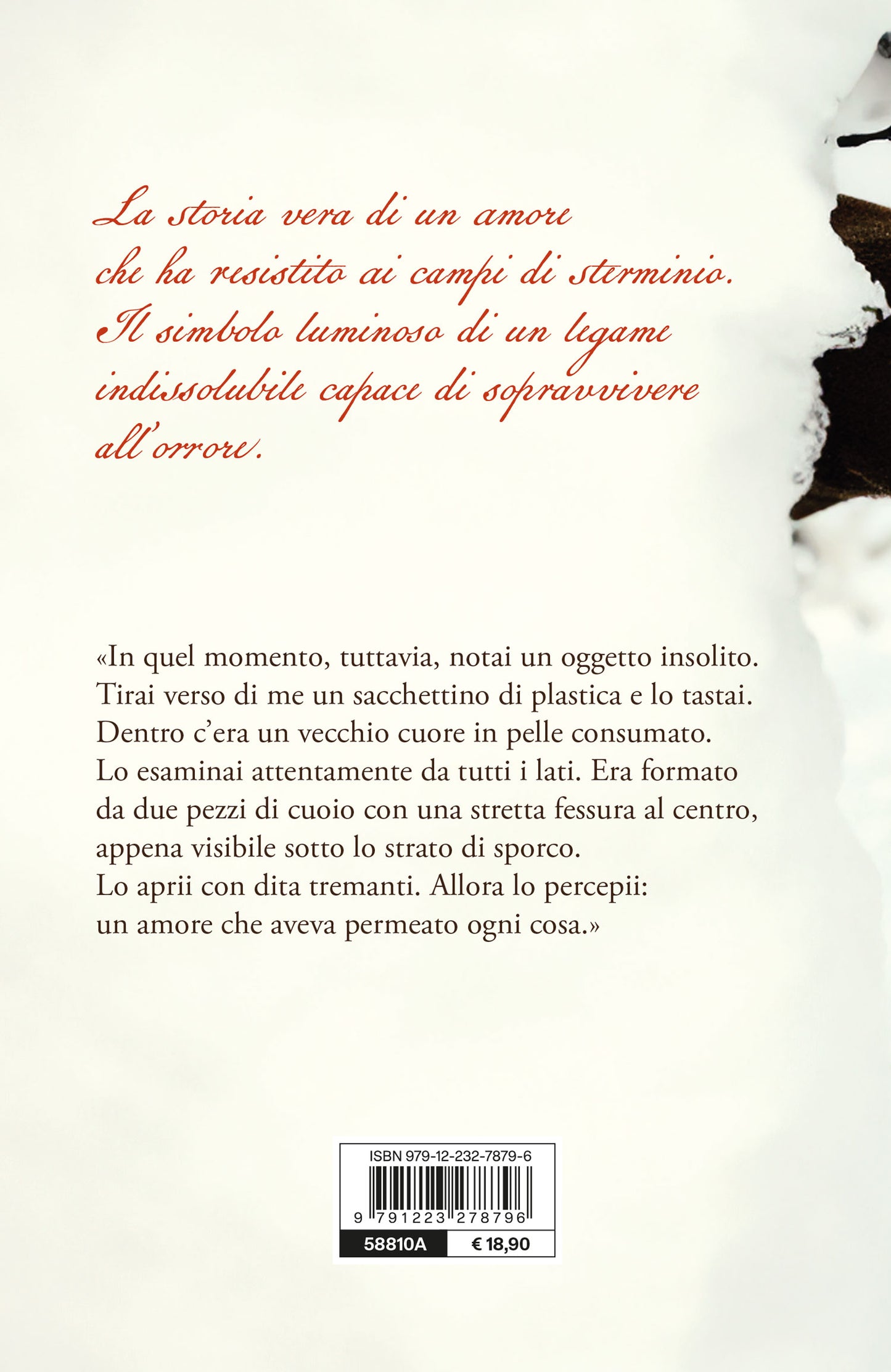 Ti lascio il mio cuore::Una storia d'amore e sopravvivenza ad Auschwitz