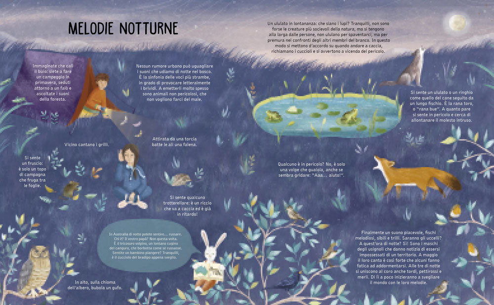 La notte. Cosa succede mentre dormiamo