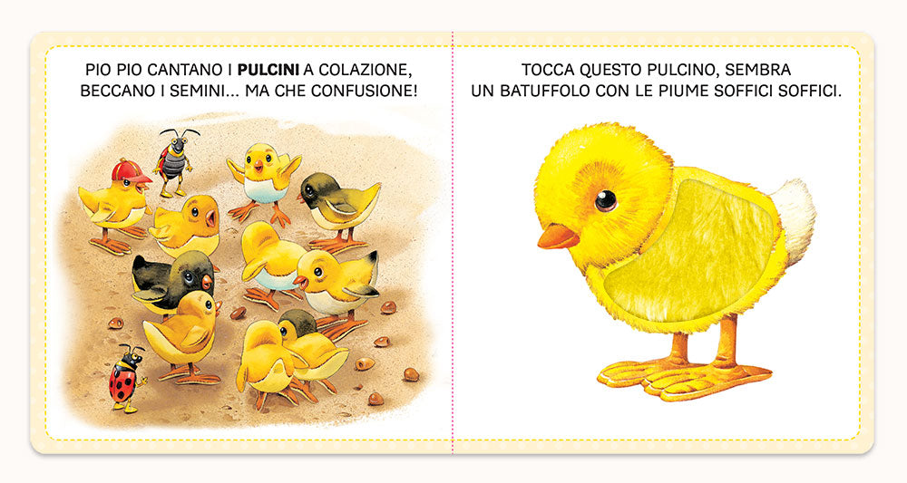 Cuccioli
