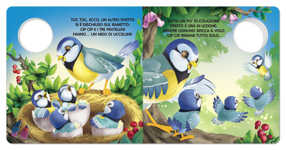 Cip Cip. Lezioni di volo