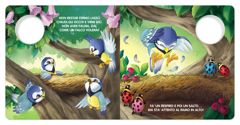 Cip Cip. Lezioni di volo