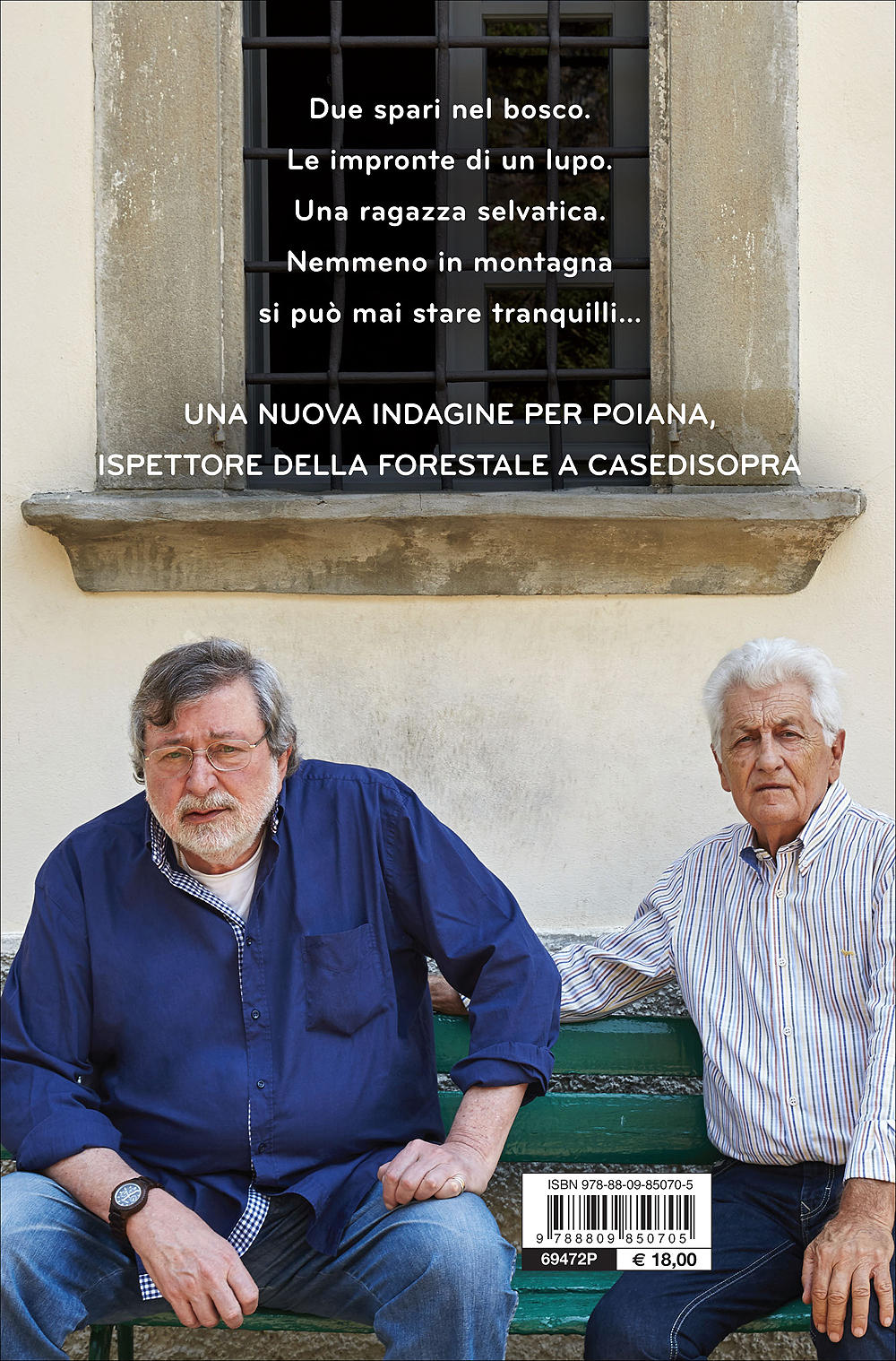 Tempo da elfi::Romanzo di boschi, lupi e altri misteri
