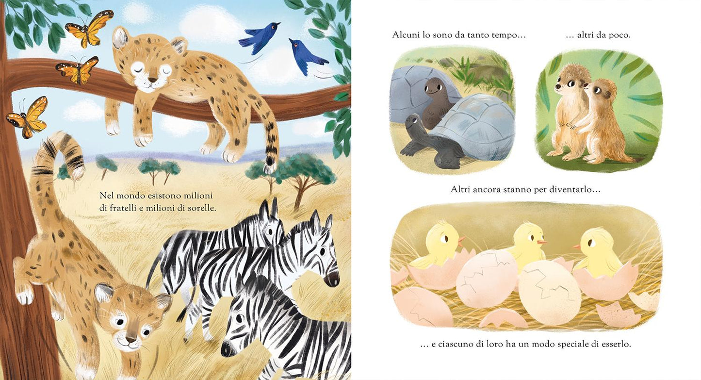 Ci sono fratelli, ci sono sorelle