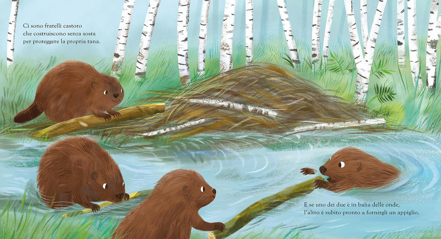 Ci sono fratelli, ci sono sorelle