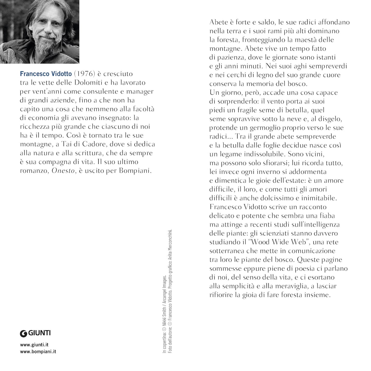 L'abete e la betulla::Storia di amore e di alberi