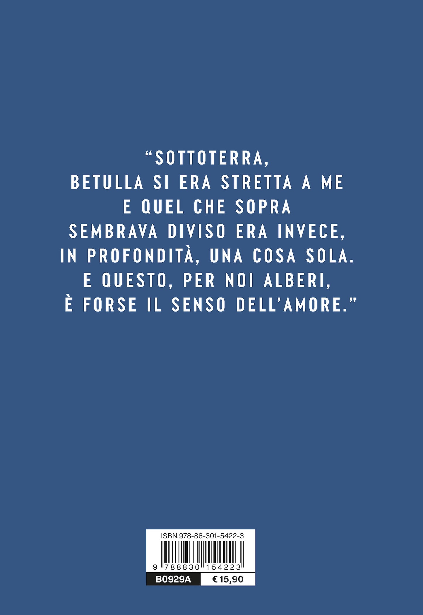 L'abete e la betulla::Storia di amore e di alberi