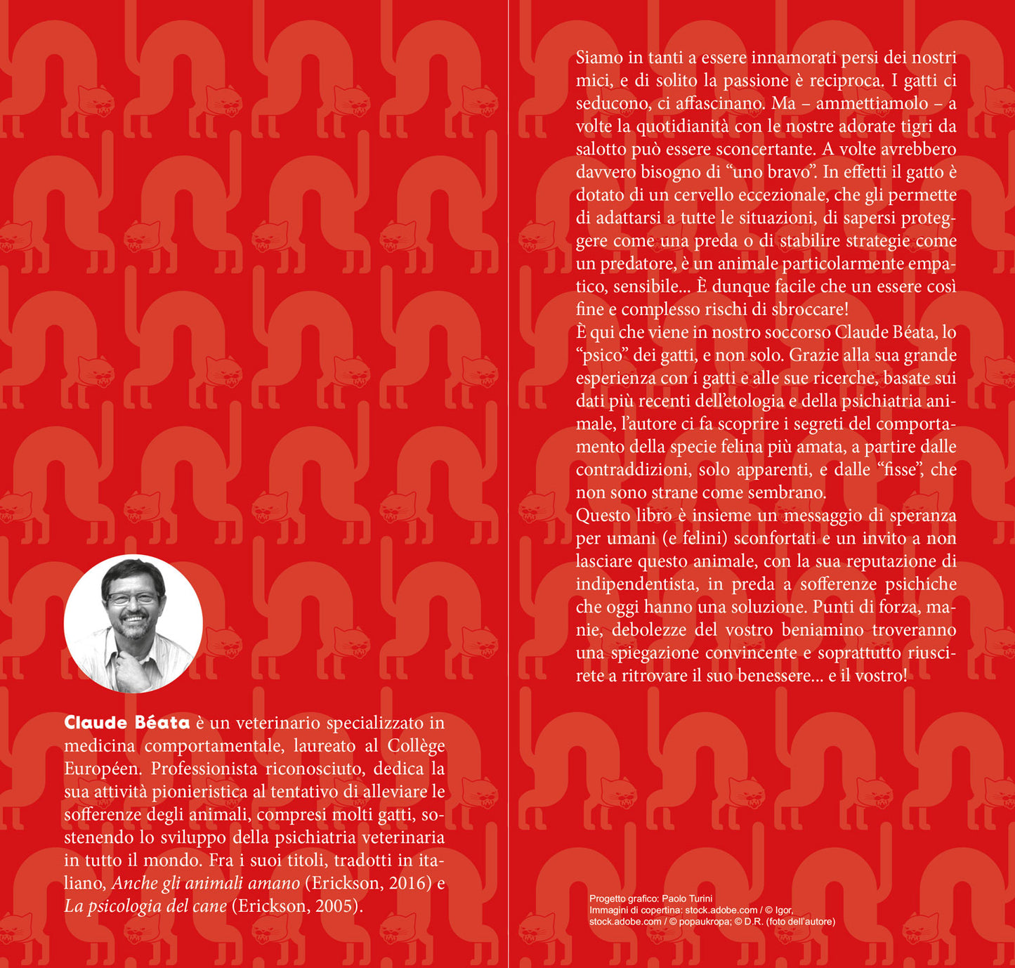 Anche i gatti nel loro piccolo sbroccano::Guida per umani alla comprensione delle follie feline