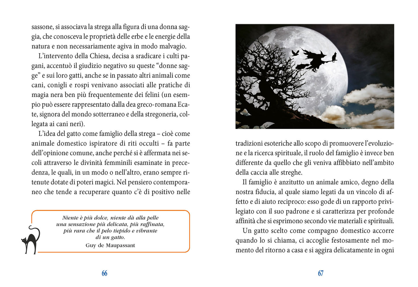 I poteri magici del gatto::Storia- Leggende - Tradizioni