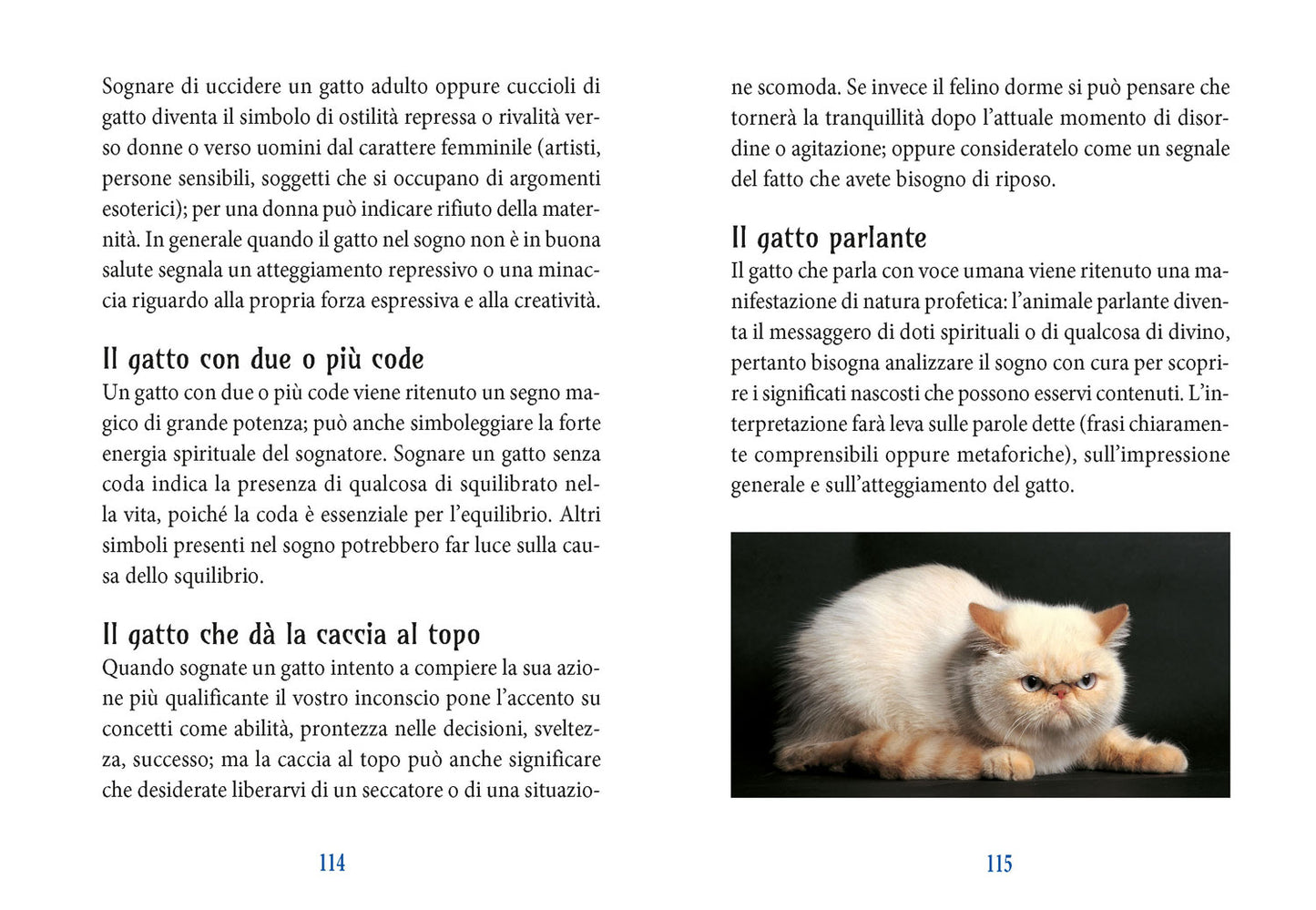 I poteri magici del gatto::Storia- Leggende - Tradizioni