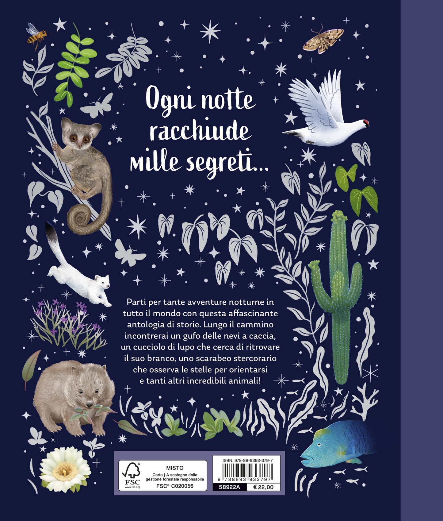 I segreti della notte::Storie della buonanotte per scoprire la natura