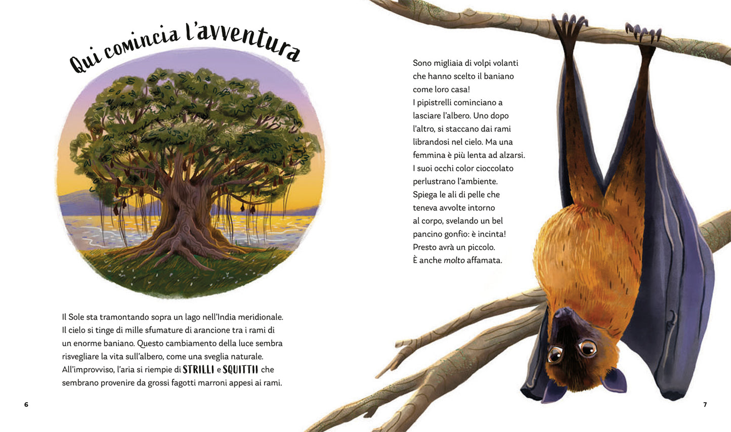 I segreti della notte::Storie della buonanotte per scoprire la natura