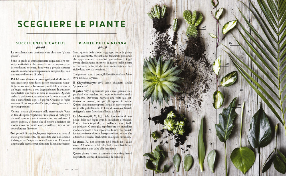 Home Jungle::Decorare e arredare la casa con le piante