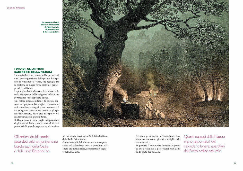 L'erbario della wicca::piante magiche, incantesimi e rituali