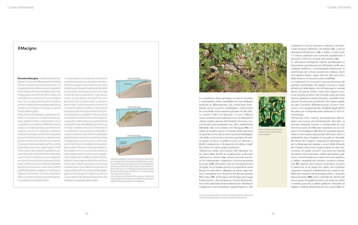 Atlante geologico dei vini d'Italia::Vitigno, suolo e fattori climatici