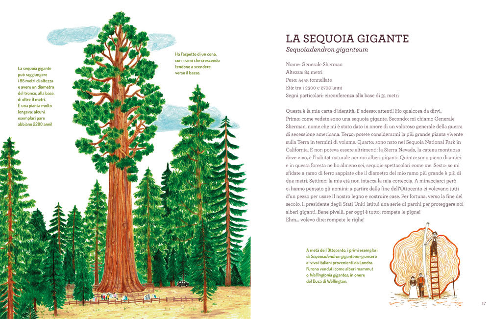 Voci dal mondo verde::Le piante si raccontano