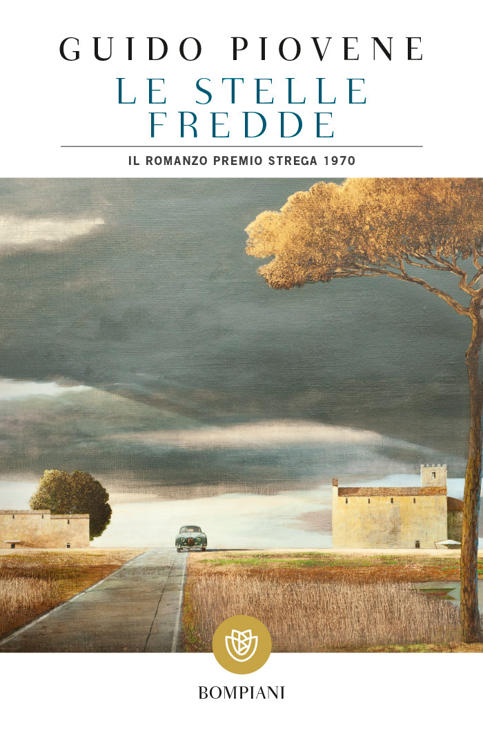 Le stelle fredde::Il romanzo Premio Strega 1970
