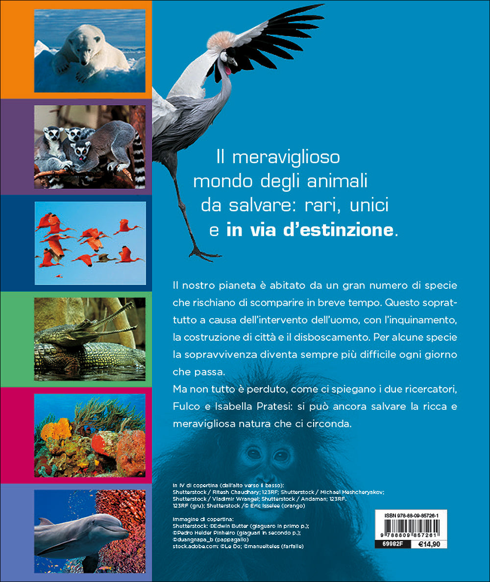 Animali da salvare