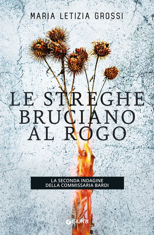 Le streghe bruciano al rogo::La seconda indagine della commissaria Bardi