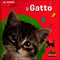 Il Gatto