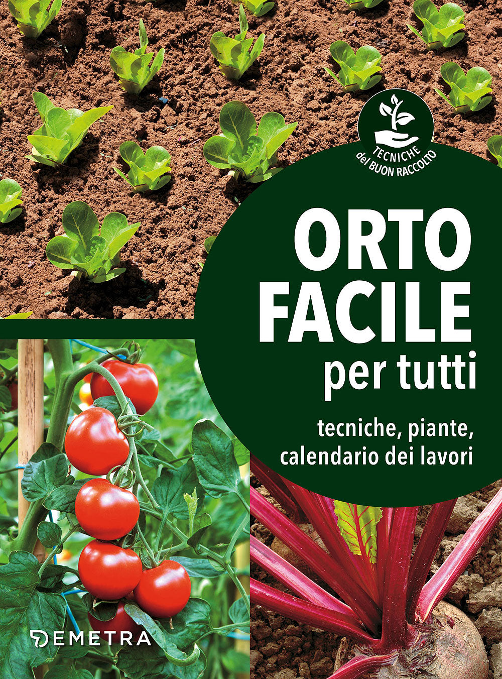 Orto facile per tutti::Tecniche, piante, calendario dei lavori
