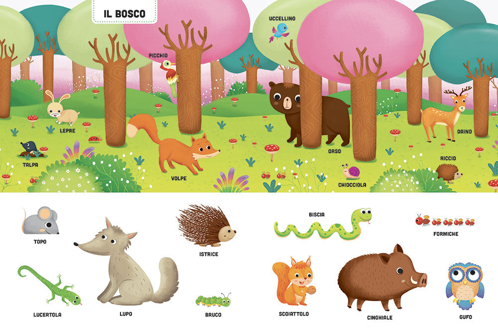 I miei primi dizionari illustrati - animali