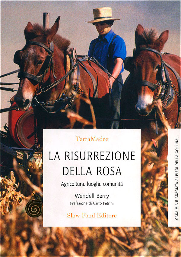 La risurrezione della rosa::Agricoltura, luoghi, comunità