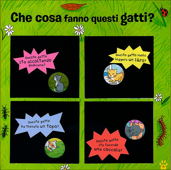 Il Gatto