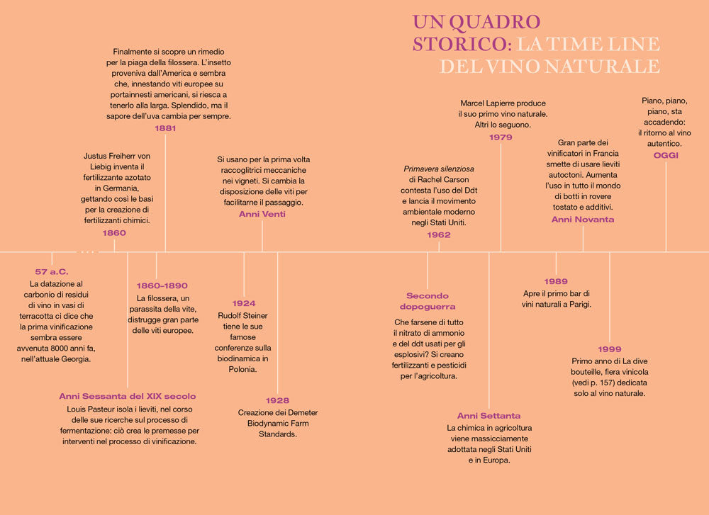 VINO NATURALE PER TUTTI::Che cos'è, dove trovarlo, come amarlo