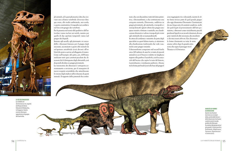 Dinosauri ::misteri svelati e buove incognite