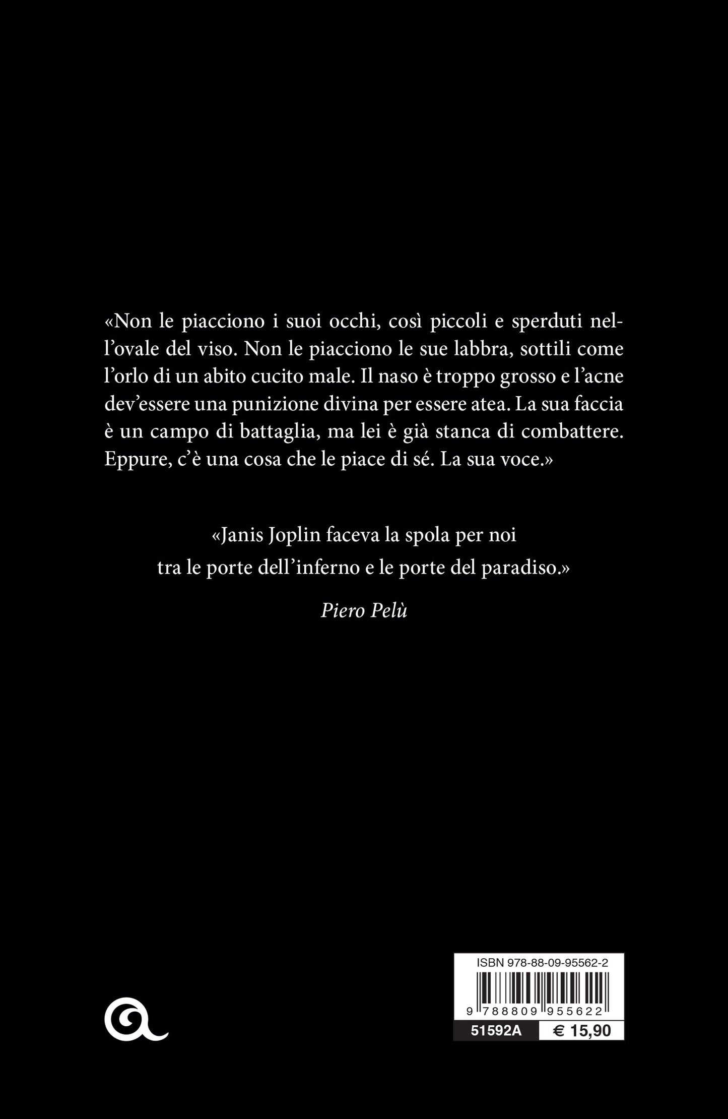 Il fuoco dentro::JANIS JOPLIN. IL ROMANZO