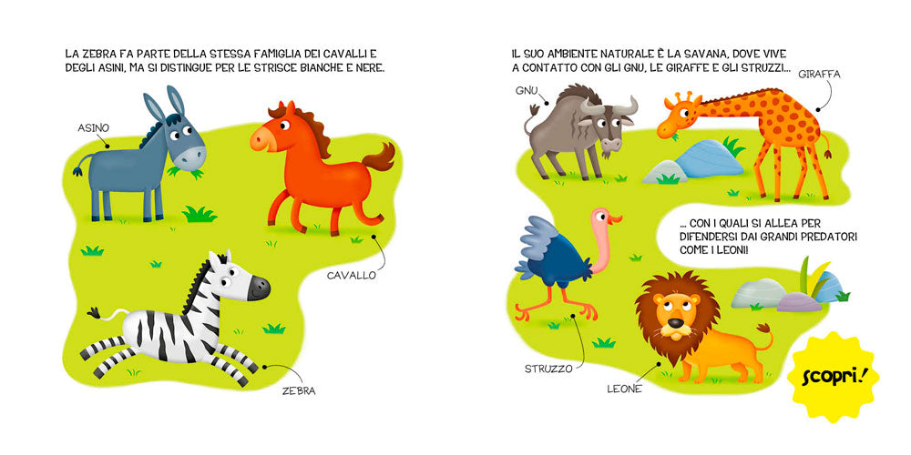 Animali selvaggi