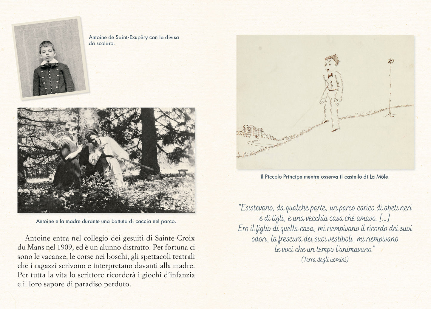Il Piccolo Principe ::Ed. anniversario 80