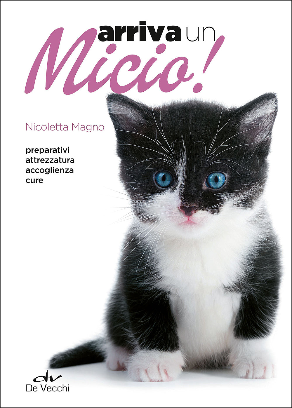 Arriva un micio!::Preparativi Attrezzatura Accoglienza Cure