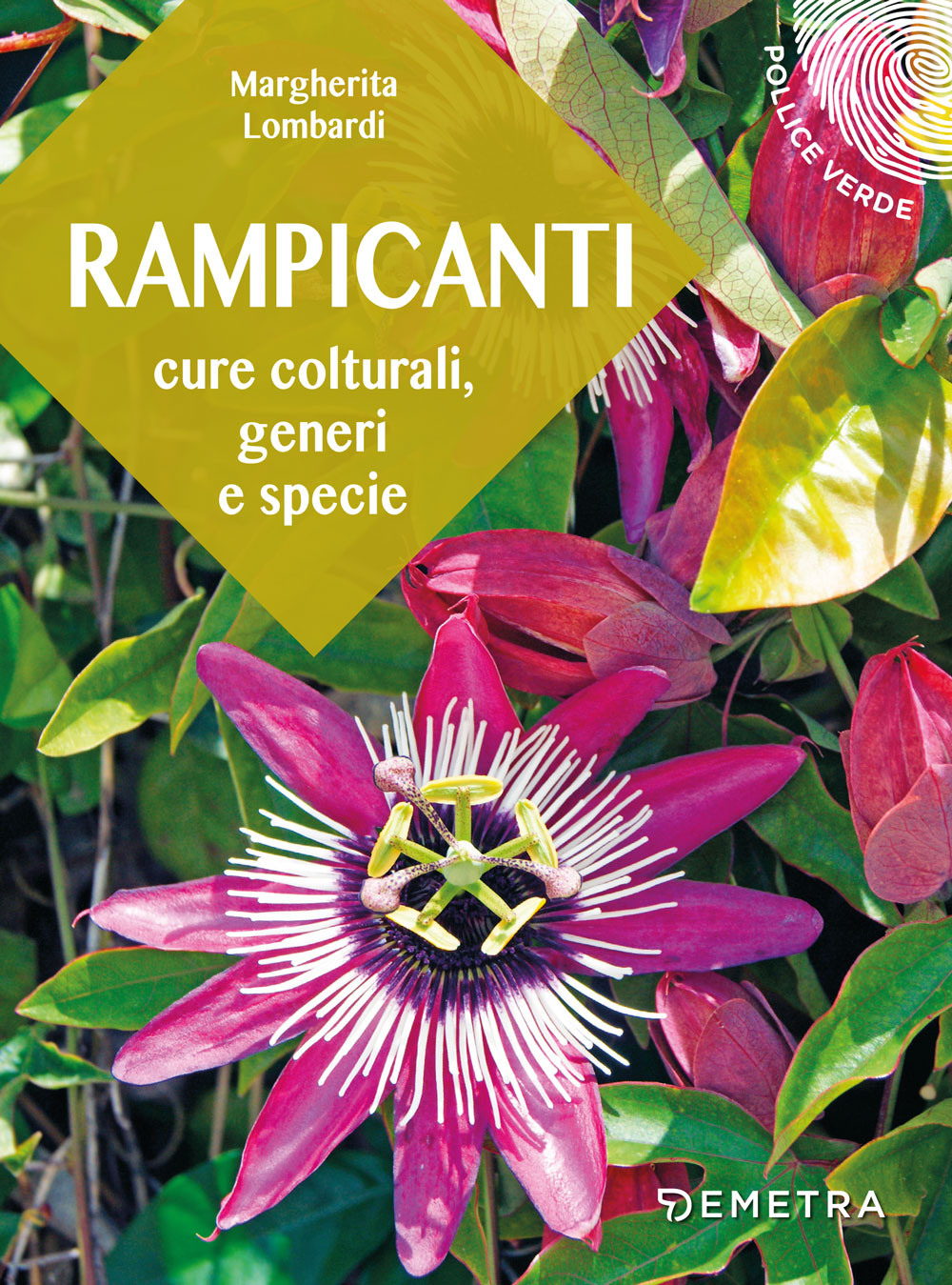 Rampicanti::Cure colturali, generi e specie