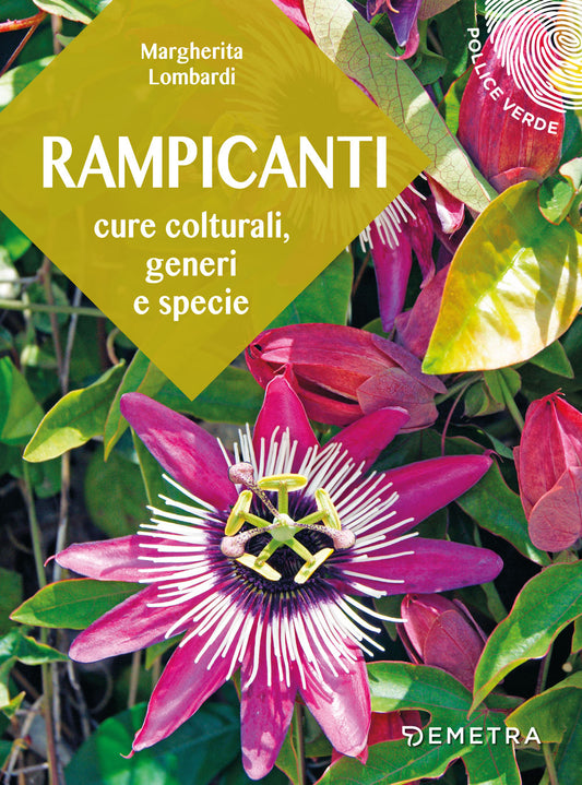 Rampicanti::Cure colturali, generi e specie