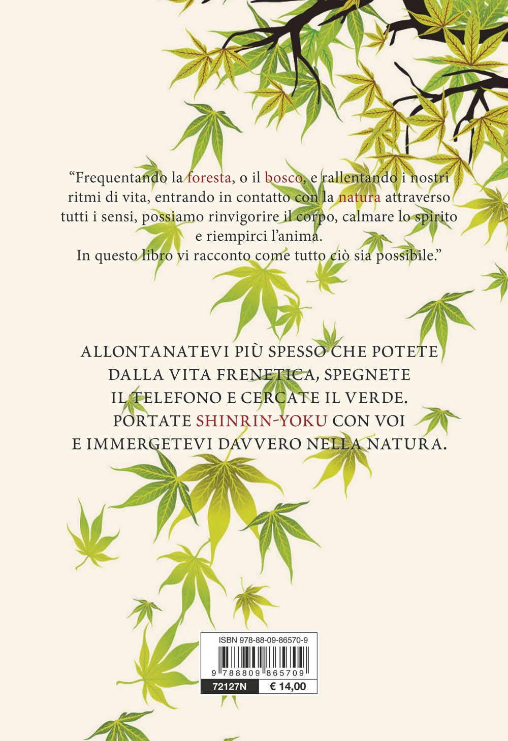 Shinrin Yoku::Ritrovare il benessere con l'arte giapponese del bagno nella foresta